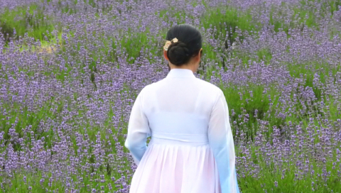 [함께 꿈꾸는 시] 구양숙 '어리석은 봄날'