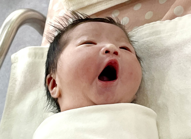 송진아아가