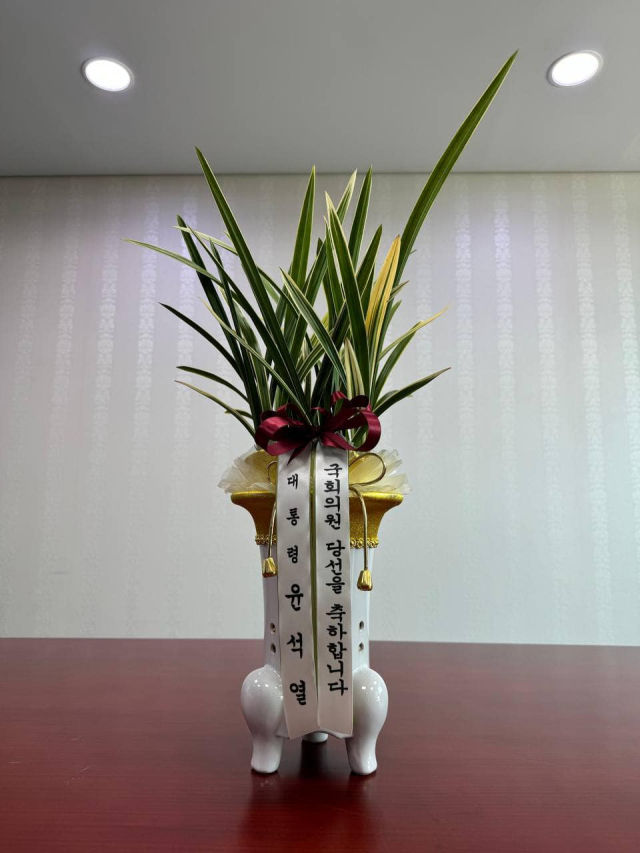 조국 대표 페이스북