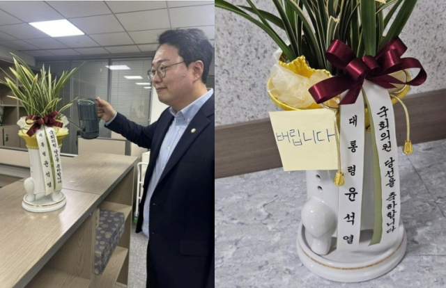 지난 31일 천하람 개혁신당 원내대표가 윤석열 대통령이 보낸 축하 난에 물을 주고 있다. 반면 야당 일부 의원들은 윤 대통령의 선물을 거절한다는 뜻을 드러냈다. 조국혁신당 김준형 의원이 축하 난에 