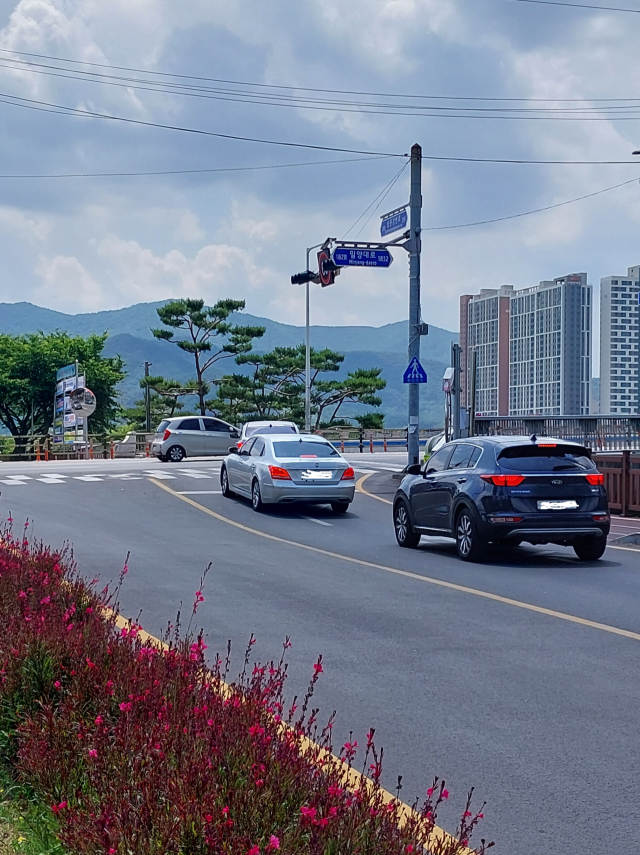 남천교 아래 우회도로에서 남천교를 이용하는 차량들 모습.