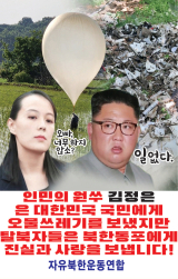 탈북민단체 자유북한운동연합이 6일 새벽 대북전단 20만장을 경기도 포천에서 추가로 살포했다고 밝혔다. 자유북한운동연합은 대북전단 20만장, K팝, 드라마