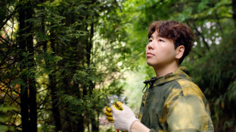 [TV] 꿀벌 싣고 전국 유랑, 이동 양봉의 애환  