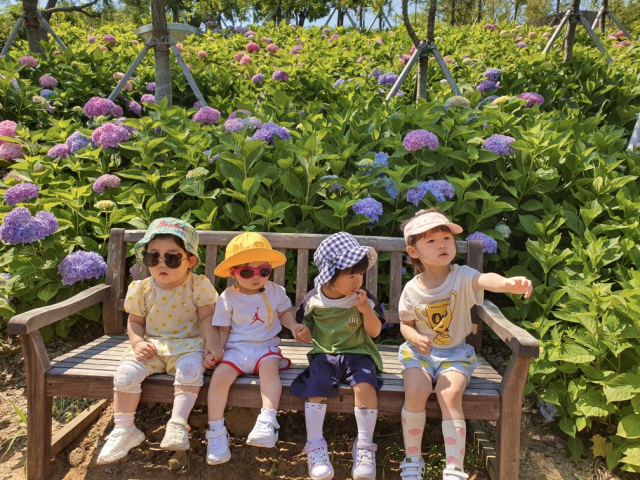 경북 구미 다온숲에 그라스원, 암석원, 수직 정원 등 다양한 테마공원으로 구성된 정원이 조성됐다. 구미시 제공