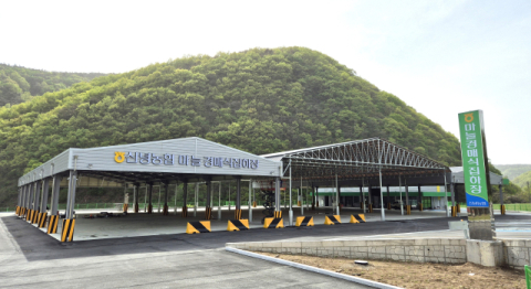 마늘산업특구 영천시, 경북 최초 마늘 경매장 완공…신녕농협 21일 준공식