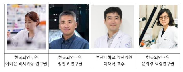 베타-프로펠러 단백질 연관 신경변성(BPAN) 환자의 철 축적 완화 방법을 밝혀낸 연구진. 한국뇌연구원 제공.