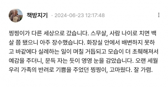 반려묘 