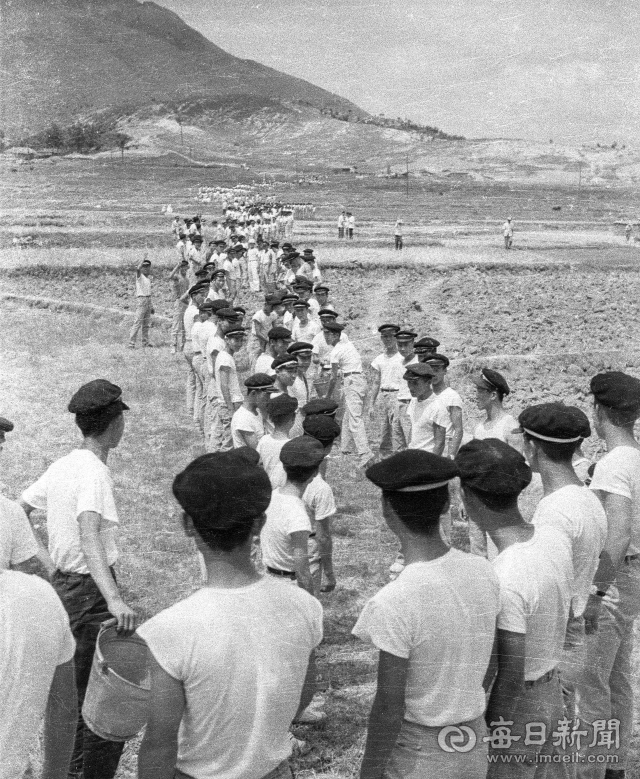 1962년 6월 26일 대구고 학생 1천300여 명이 앞산 고산골 자락 다랑논 묘판에 물을 주기 위해 500m나 떨어진 신천 용두방천에서 릴레이로 물통을 나르고 있다. 당시 고산골 일대에는 계단식 다랑논이 즐비했다. 사진=매일아카이빙센터