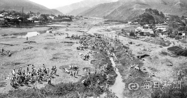 1962년 7월 1일 극심한 가뭄에 공무원과 초등학교 교사들이 대구 신천 용두방천 부근 강바닥을 파헤치며 인근 고산골 다락논에 용수할 물을 모으고 있다. 사진=매일아카이빙센터