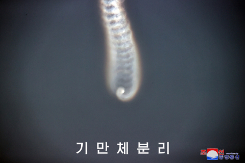 '발사 실패' 반박한 北…