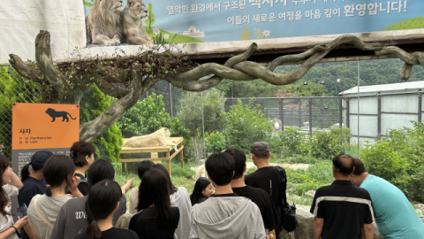 7년 만에 지하 탈출…제2의 '백사자 부부' 사태 멈추려면 