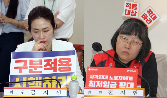 2일 오후 정부세종청사 최저임금위원회 회의실에서 열린 제7차 전원회의에서 사용자위원인 금지선 한국메이크업미용사회 회장이 