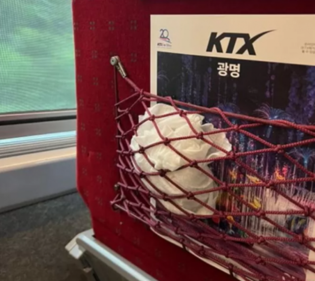 KTX 특실에 버려진 기저귀. 온라인 커뮤니티 캡처