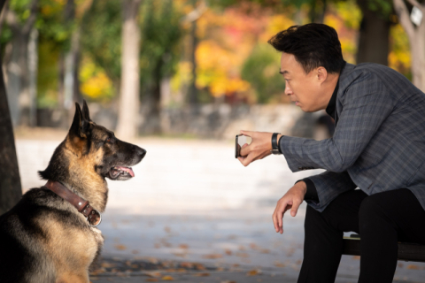 [TV] 어느 날, 동물들의 말이 들리기 시작했다!