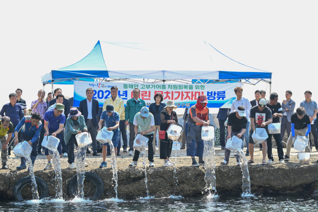 영덕군이 4일 축산면 경정2,3리에 새끼 문치가자미를 방류하고 있다. 영덕군 제공