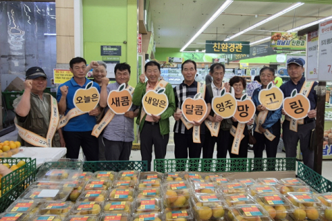 영주 자체개발 과일 ‘망고링(자두+살구)’, 수도권 시장 개척 나섰다
