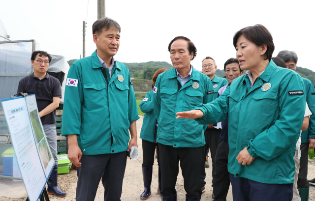 송미령 농림축산식품부 장관이 지난 11일 침수 피해를 입은 의성군 한 오이 재배 농가를 방문해 응급 복구 상황을 점검하고 있다. 의성군 제공.