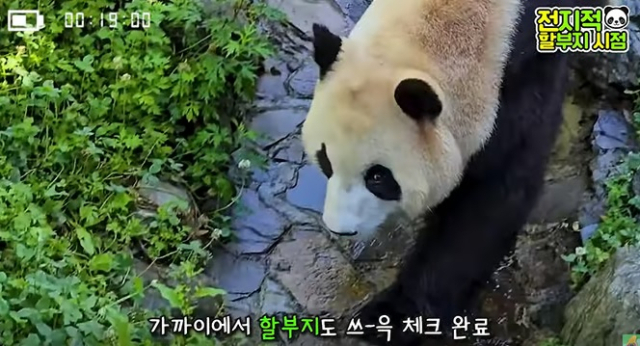 12일 유튜브 