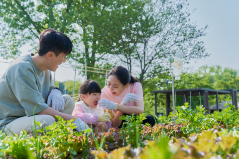 [학부모와 함께 나누고픈 북&톡] 모든 순간이 빛을 내는 여름, 가족 이야기