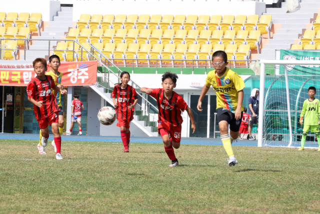 지난해 열린 화랑대기 전국 유소년 축구대회 모습. 경주시 제공