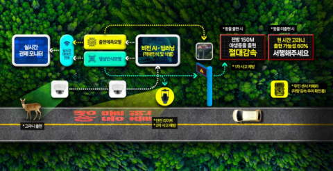 '전방에 동물출현'…운전자에게 실시간 정보 알려 '로드킬' 막는다