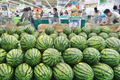 7월 소비자물가 2.6% 상승…넉 달 연속 2%대