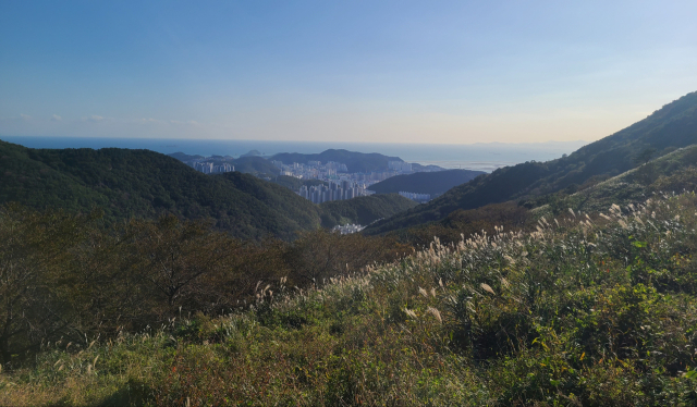 부산 승학산 치유의 숲