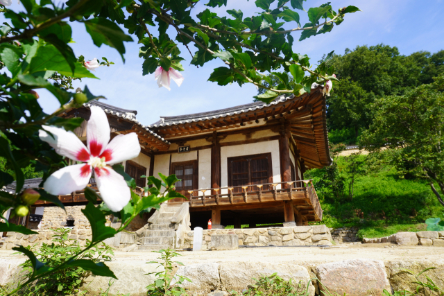 임청각 마당에 핀 무궁화는 석주 이상룡의 애국 독립의 혼이다.