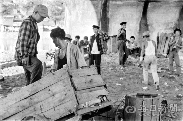 1960년 9월 24일 대구 신천 푸른다리 아래에 고물을 주워 생활하는 넝마주이 부랑 소년들이 모여있다. 이들은 대부분 고아 또는 가출 소년으로 푸른다리를 아지트 삼아 생활하면서 일부는 깡패와 어울리며 소매치기, 폭행 등을 일삼기도 했다. 사진=매일아카이빙센터