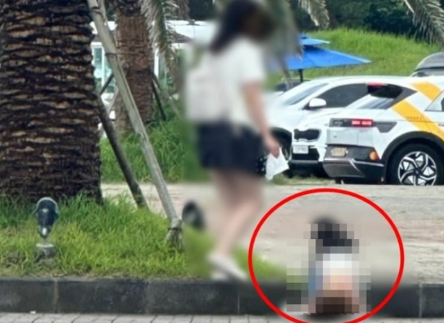 제주에서 중국인 관광객으로 추정되는 아이가 공개된 장소에서 용변을 보는 모습이 포착돼 논란이 일고 있다. 온라인 커뮤니티 캡처