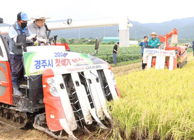 27일 경주시 남산동 일원 벼베기 현장을 방문한 주낙영 경주시장이 콤바인에 올라 벼베기 체험을 하고 있다. 경주시 제공