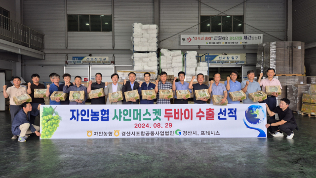 자인농협은 29일 샤인머스캣 포도 1천kg을 중동 아랍에미리트로 첫 수출을 이한 선적을 했다.