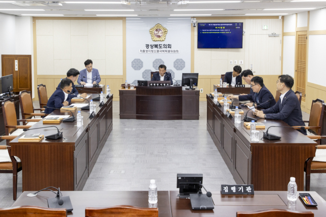 경북도의회 저출생지방소멸극복특별위원회가 회의를 진행하는 모습. 경북도의회 제공