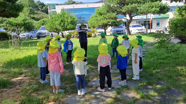 어린이들이 유아숲체험을 즐기고 있다. 국유림관리소 제공