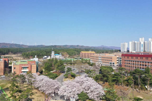 선린대학교 전경. 선린대 제공.
