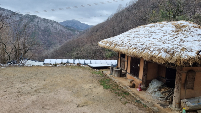 지난 겨울이 온 조길방 가옥 아래채 지붕에 눈이 쌓였다. 저 멀리 비슬산 봉우리에도 눈이 쌓였다.