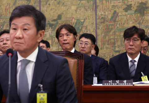 문체부, 2일 축구 대표팀 감독 선임 관련 감사 중간 결과 발표