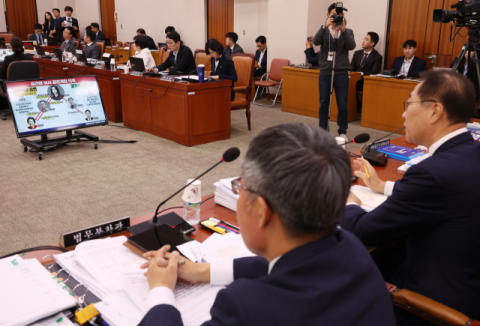 野, 국감서 증인에 동행명령 남발…검경 행세까지 하나