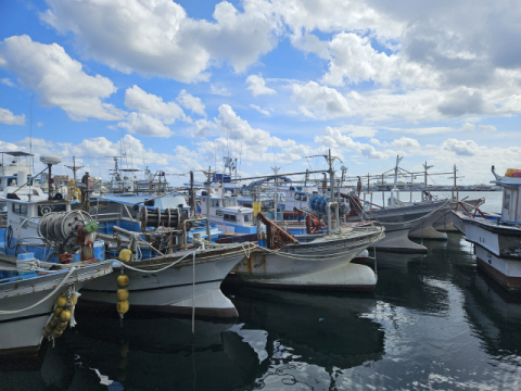 [기후변화 경고등] 포항서 