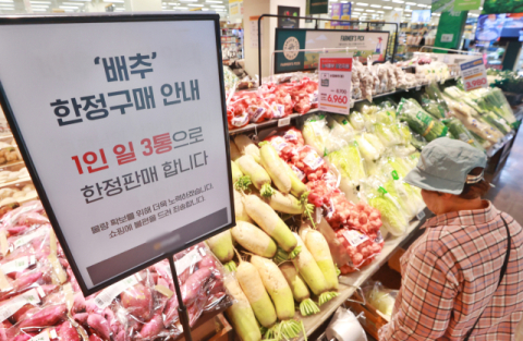 김장철 다가오는데…배추·무, 작년보다 39%·46% 비싸