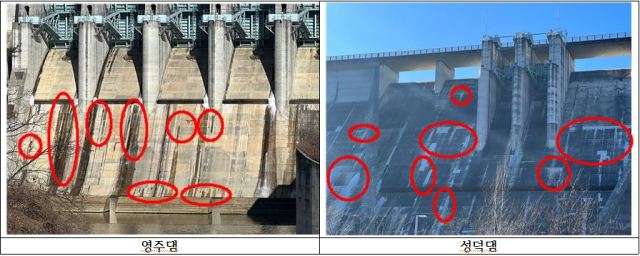 영주댐·성덕댐에서 콘크리트 백태 등이 발견돼 안전에 대한 우려가 제기된다. 의원실 제공