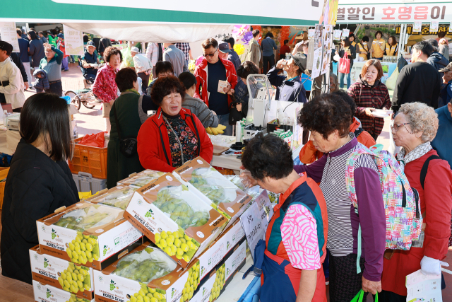 지난 3일 예천농산물축제를 찾은 방문객들이 농특산물 판매부스에 진열된 상품을 둘러보고 있다. 예천군은