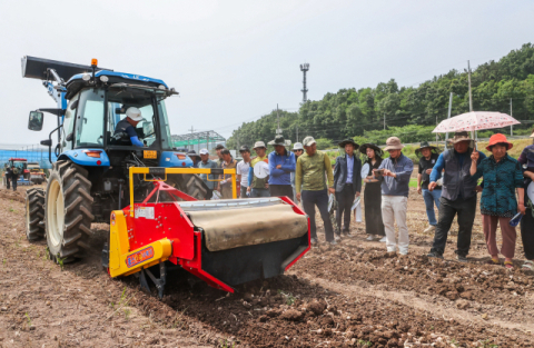 고령화 되는 마늘 주산지 경북…전과정 기계화로 숨통 트일까