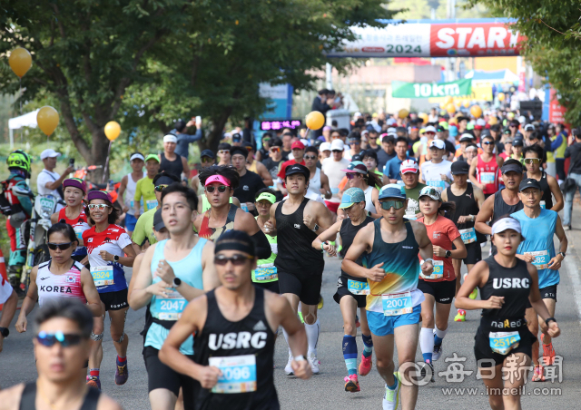 매일신문 DB.