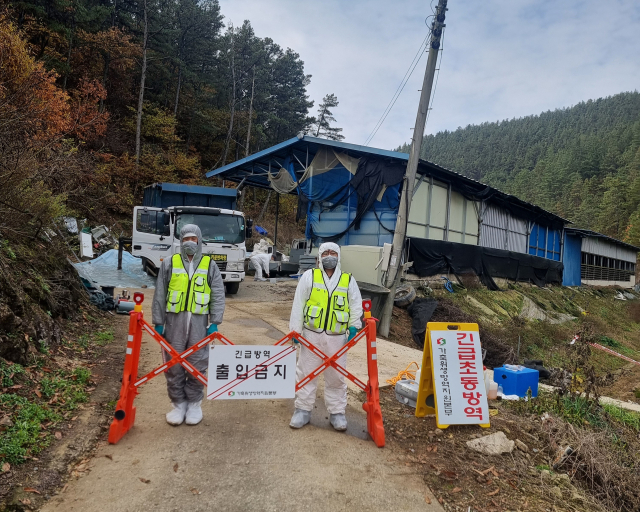 13일 농림축산식품부는 