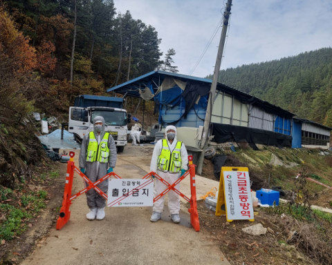 대구 동구에서 럼피스킨 확진…정부, 확산 차단에 총력 [2보]