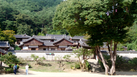 [MZ 한바퀴] 한국 전통과 현대가 만나는 공간, 가을 안동 여행의 필수 코스 [영상]