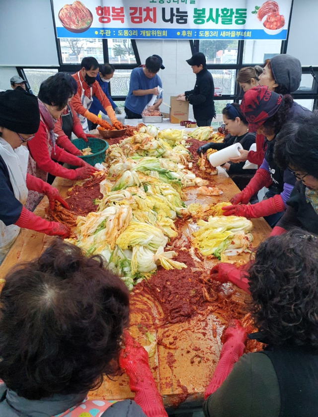 경북 울릉군 울릉읍 도돌3리 마을주민들이 지난 10일부터 3일간 김장김치를 만들어 어려운 이웃에게 전달했다. 최지호 이장 제공