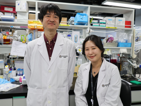 한국뇌연구원, 신경줄기세포의 뉴런·교세포 전환 스위치 단백질 발견해