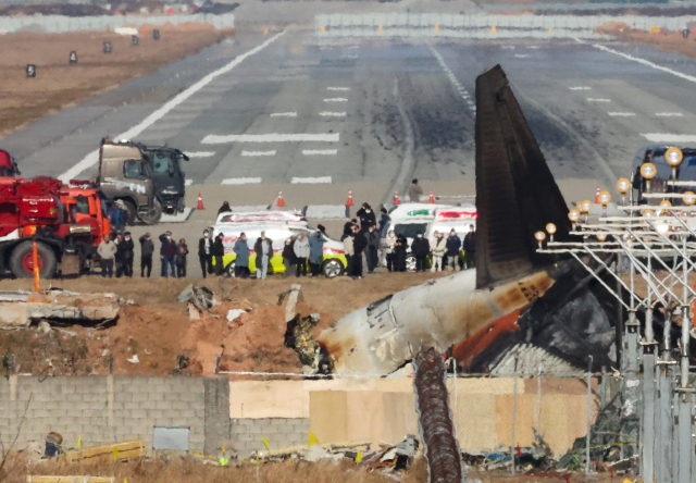 1일 오전 전남 무안군 무안국제공항 제주항공 여객기 참사 현장에서 탑승객 유가족들이 사고 여객기 잔해를 살펴보고 있다. 연합뉴스